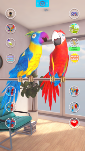اسکرین شات 5 برنامه Talking Parrot Couple