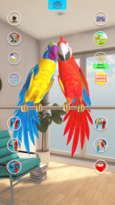 اسکرین شات برنامه Talking Parrot Couple 4