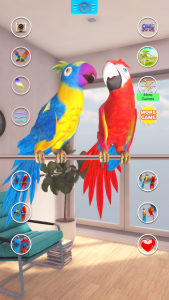 اسکرین شات برنامه Talking Parrot Couple 5