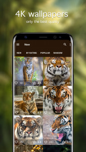 اسکرین شات برنامه Tiger Wallpapers 4K 2