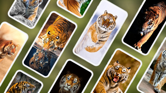 اسکرین شات برنامه Tiger Wallpapers 4K 1