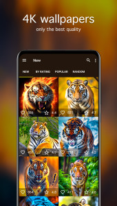 اسکرین شات 2 برنامه Tiger Wallpapers 4K
