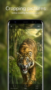 اسکرین شات برنامه Tiger Wallpapers 4K 4