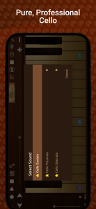 اسکرین شات 6 بازی Professional Cello