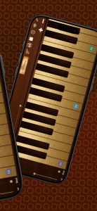 اسکرین شات 4 بازی Professional Cello