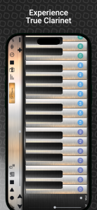 اسکرین شات 8 بازی Professional Clarinet