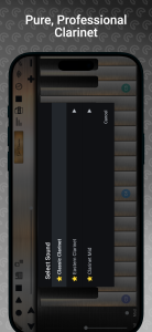 اسکرین شات 6 بازی Professional Clarinet