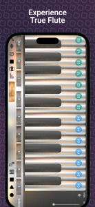 اسکرین شات 8 بازی Professional Flute