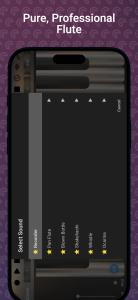 اسکرین شات 6 بازی Professional Flute
