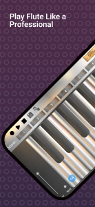 اسکرین شات 1 بازی Professional Flute