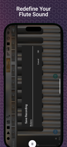 اسکرین شات 7 بازی Professional Flute