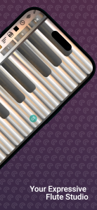 اسکرین شات 2 بازی Professional Flute