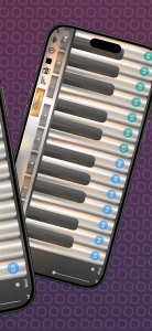 اسکرین شات 4 بازی Professional Flute