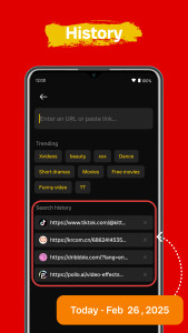 اسکرین شات 2 برنامه Video Downloader Browser