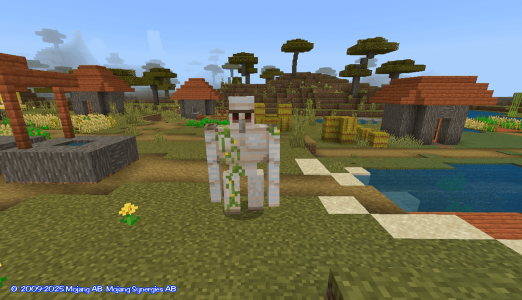 اسکرین شات برنامه villages for minecraft pe 3