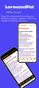 اسکرین شات 6 برنامه LarousseDict - English French