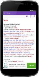 اسکرین شات برنامه LarousseDict - English French Français Anglais 4