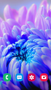 اسکرین شات 5 برنامه Flower Wallpapers