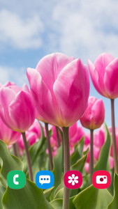 اسکرین شات 1 برنامه Flower Wallpapers