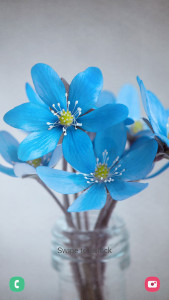 اسکرین شات 6 برنامه Flower Wallpapers