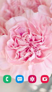 اسکرین شات 7 برنامه Flower Wallpapers