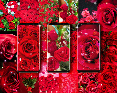 اسکرین شات برنامه Red rose live wallpaper 1