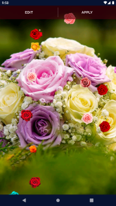 اسکرین شات 8 برنامه Red Rose Live Wallpaper