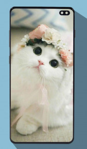 اسکرین شات برنامه Cute Cat Wallpapers 6