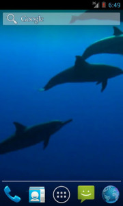 اسکرین شات برنامه Wild Dolphins Video Wallpaper 2