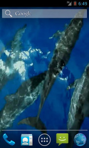 اسکرین شات برنامه Wild Dolphins Video Wallpaper 3