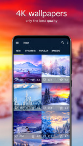 اسکرین شات 2 برنامه Winter Wallpapers 4K