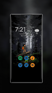 اسکرین شات 2 برنامه Theme for Galaxy F17