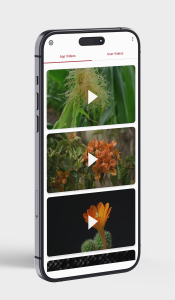 اسکرین شات 6 برنامه Live Theme for iPhone 17