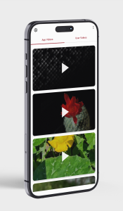 اسکرین شات 2 برنامه Live Theme for iPhone 17