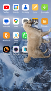 اسکرین شات برنامه سگ روی گوشی | برنامه سرکاری 1