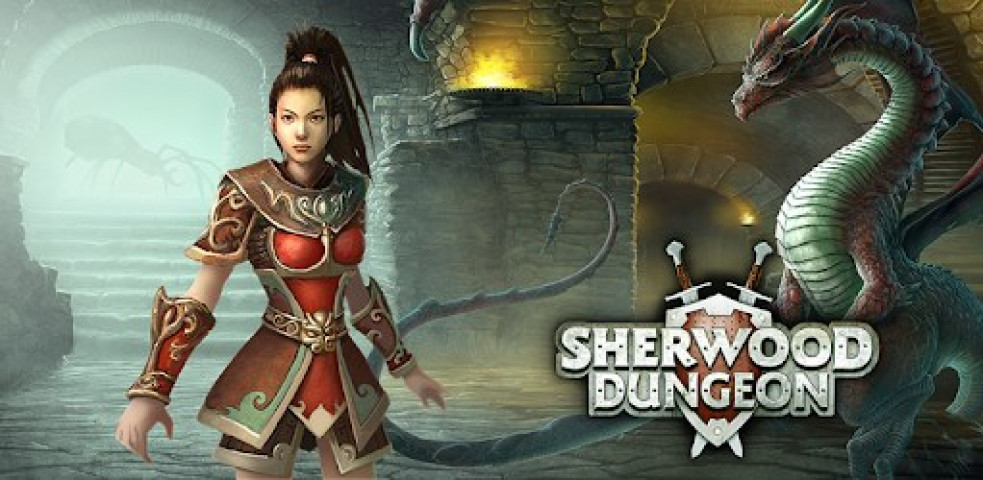 sherwood dungeon mmorpg game