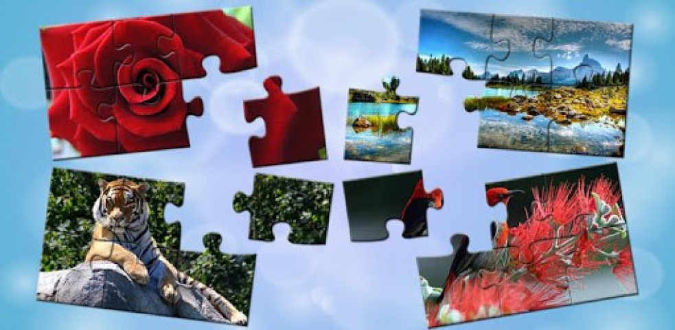 Favorite Puzzles - games for adults free instal